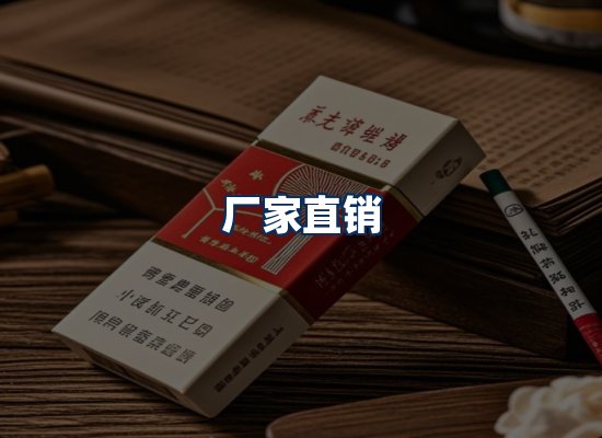 专业团队办公环境